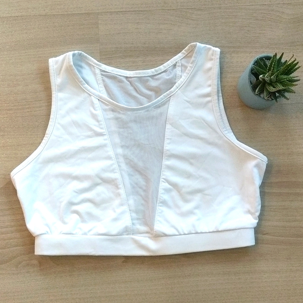 Sexy mesh workout crop